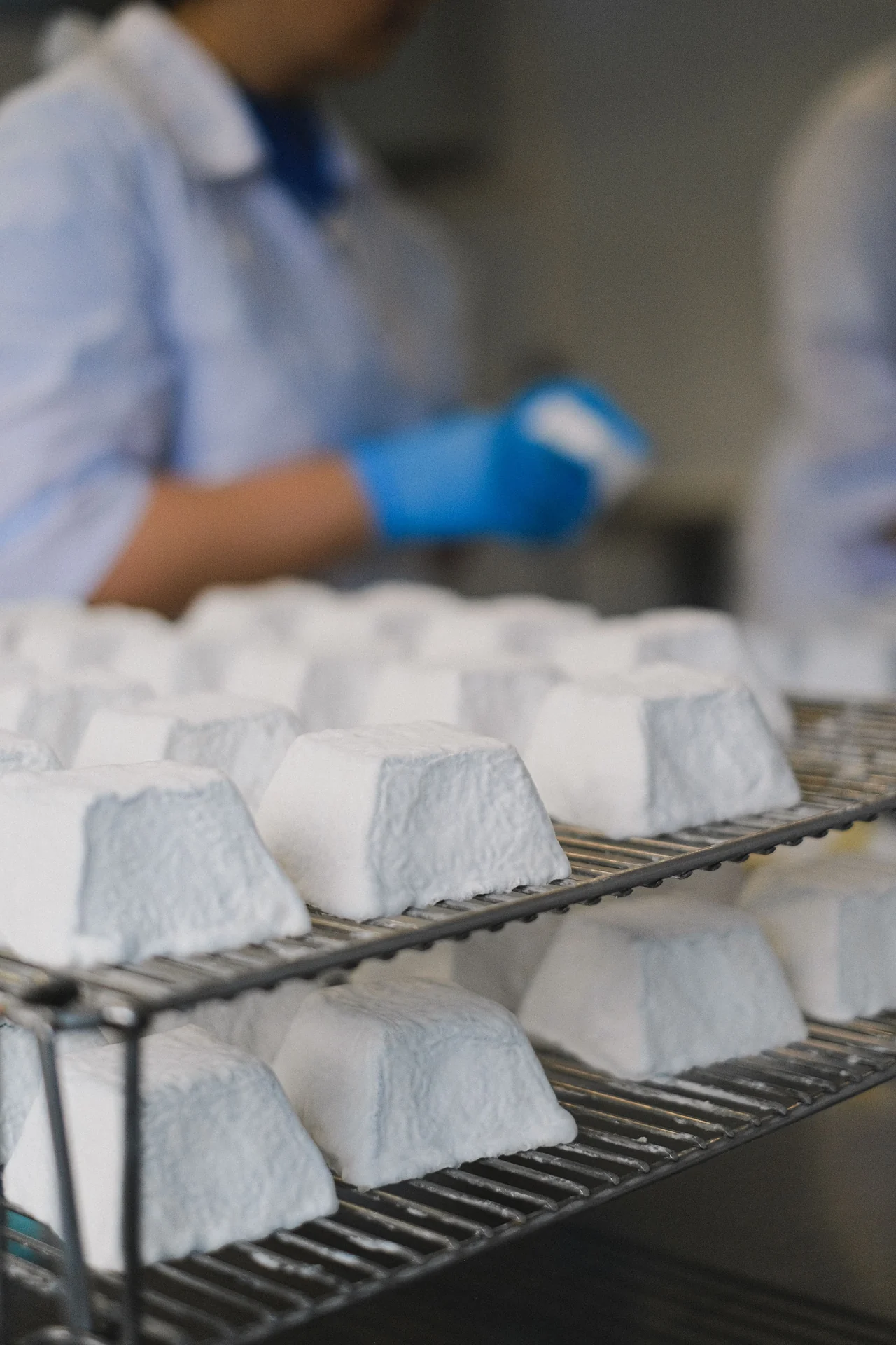 Queijos durante o processo de fabricação